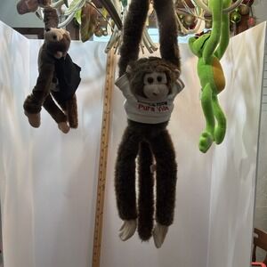 Long Limb Monkey Hanging Frog Costa Rica Pura Vida Flingable Monkey Wearing Cape